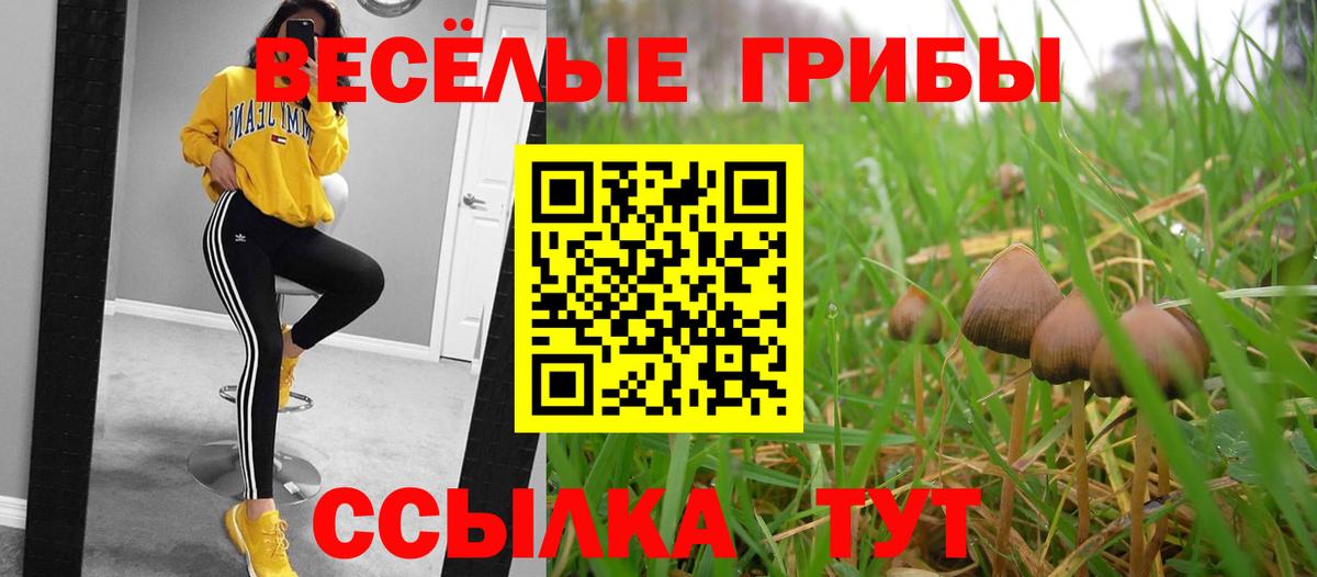 Уссурийск  Псилоцибиновые грибы MAGIC MUSHROOMS  Вход с VPN 